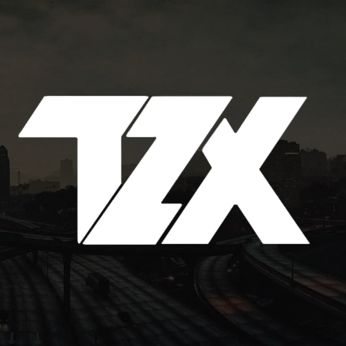 TZX  – FiveM External Cheat