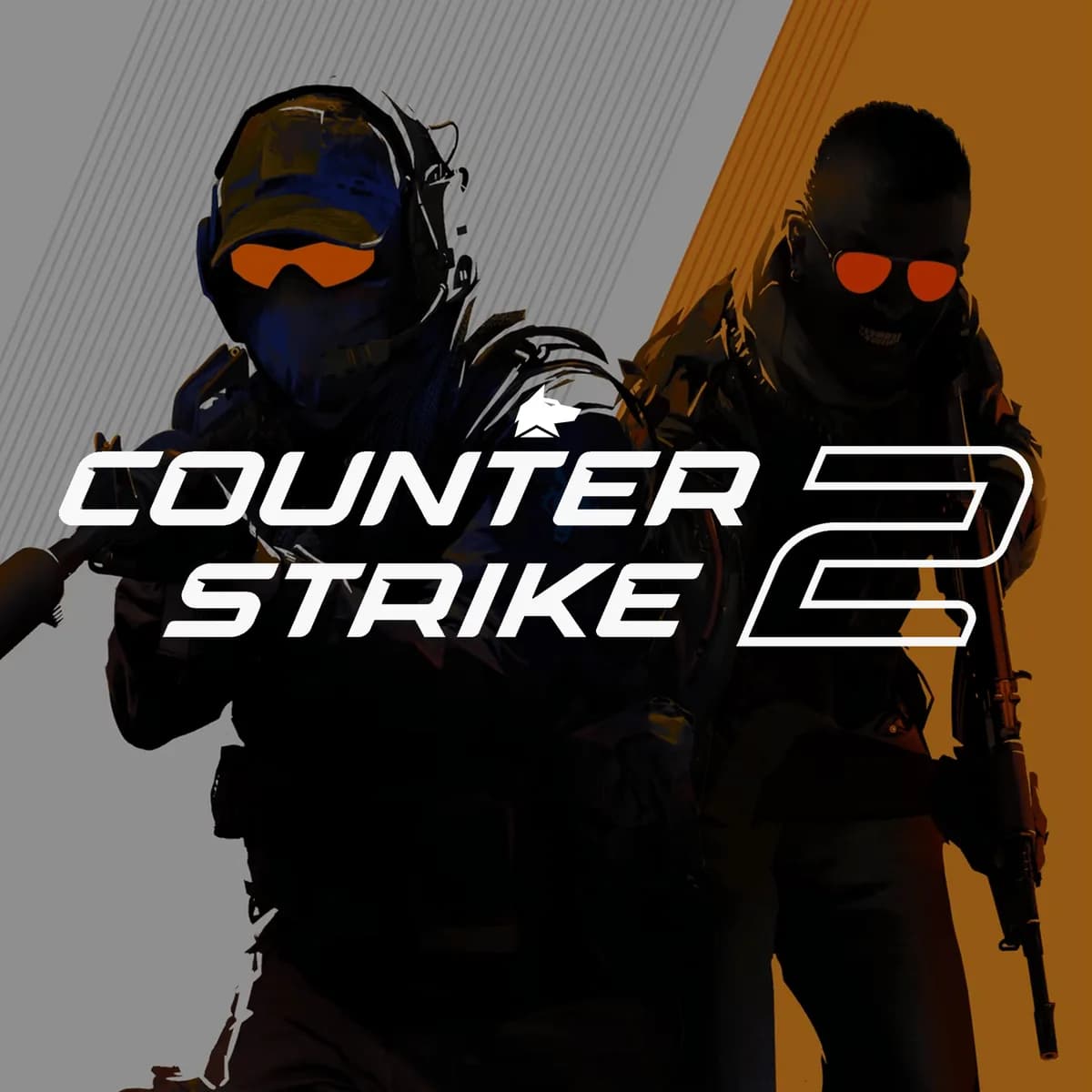 Fecurity - CS2