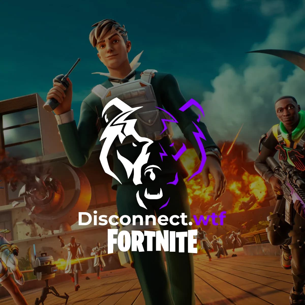 Disconnect.wtf - Fortnite External